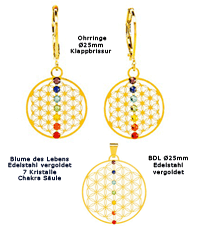      Blume des Lebens  flower of life  