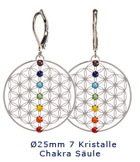      Blume des Lebens  flower of life  