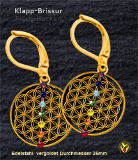      Blume des Lebens  flower of life  