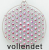       Lebensblume   vollendet    