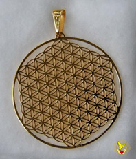   Kornkreise     Reichtum    Schlüsselanhänger    Kornkreissymbol Anhänger Schmuck Crop Circles Jewellery circle  Edelstahl einstein design kristallzentrum energetik energethik esoterik  Schmuck jewellery jewelery jewelry pendant pendentif bijou bijoux 