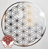   Steel         Blume des Lebens   