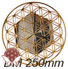   Steel         Blume des Lebens   