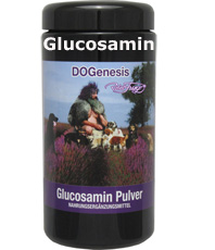  Glucosamin 