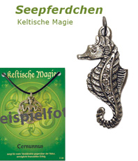   Seepferdchen 