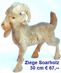  Ziege        