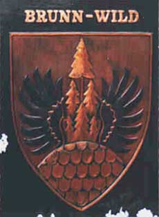  Brunn-Wild Gemeindewappen Kupferbild 