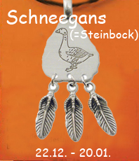    Indianisches Sternzeichen  Amulett  