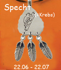    Indianisches Sternzeichen  Amulett  