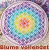  Aufkleber vollendet Blume d Lebens 