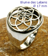     « Ring  925 Silber » *  