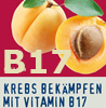   Krebs bekämpfen mit Vitamin B17 