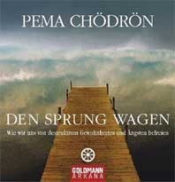 * Bücher Religionen Buddhismus Buch Pema Chödrön den Sprung wagen 