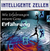   Bruce Lipton Intelligente Zellen Wie Erfahrung unsere Gene steuert 