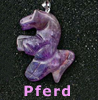 Tiere Pferd  Amethyst