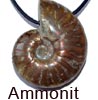    Ammonit  edelsteine