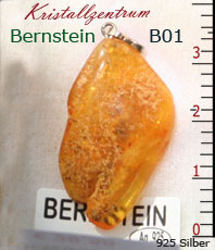   Bernstein    