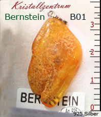   Bernstein    