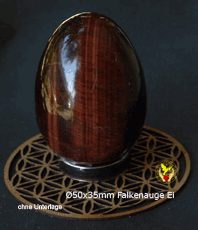   Falkenauge Ei                                                                                                                                          