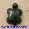 Tiere  Schildkröte     Hämatit   