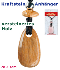        Versteinertes Holz    Kraftstein Anhänger  Halbedelstein                                                                                                              