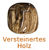  Versteinertes Holz  Baumquarz     