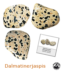 Dalmatin Jaspis                                                                                                          