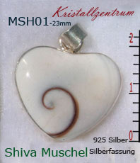 Shivas Augen Nautilusschnecke Shiva Muschel Anhänger        