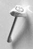 Nasenstecker      Piercing 