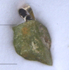      Edelstein  Olivin   Peridot      