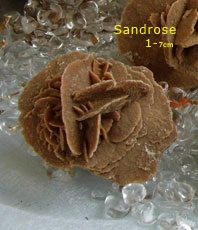  Sandrose    