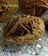  Sandrose    