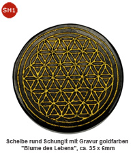 Schungit Donut   harmonisierung Schutz                                                                                                      