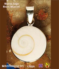 Shivas Augen Nautilusschnecke Shiva Muschel Anhänger        