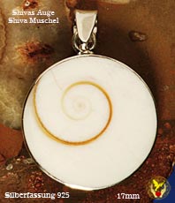 Shivas Augen Nautilusschnecke Shiva Muschel Anhänger        
