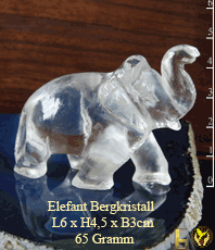      Elefant     