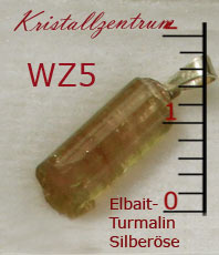                Wassermelonen Turmalin                 
• • • erhältlich im Kristallzentrum • • •                                                                                          