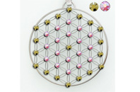    auroreboreale dorado        blume      