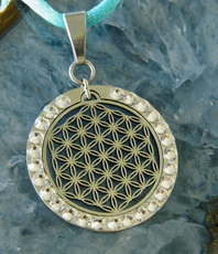                
  Blume des Lebens                    
  Umrandungsring mit         
  original Swarovski Kristallen                   ©einStein design                                                                                                                              
  erhältlich im Kristallzentrum  