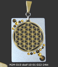  kristallzentrum energetik energethik esoterik esoteric Schmuck jewellery   jewelery  jewelry pendant pendentif bijou bijoux Schmuck Blume des Lebens Anhänger    Männerschmuck  Herren  silber Schmuck  Lebensblume  flowers of life  Edelstahl einstein design  