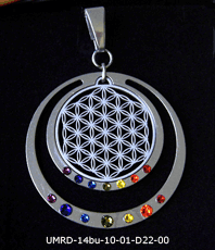  kristallzentrum energetik energethik esoterik esoteric Schmuck jewellery   jewelery  jewelry pendant pendentif bijou bijoux Schmuck Blume des Lebens Anhänger    Männerschmuck  Herren  silber Schmuck  Lebensblume  flowers of life  Edelstahl einstein design  