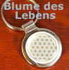         Lebensblume       