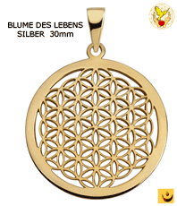      Blume des Lebens silber   