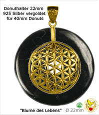 Schungit Shungite Schmuck  Anhänger fullerene Kristallzentrum Esoterik Fullerene, die dritte Form des Kohlenstoffs wasseraufbereitung 