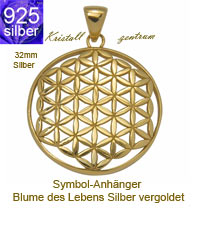 Anhänger    Blume des Lebens flowers of life  Edelstahl Wohnaccessoires versilbert silber gold vergoldet