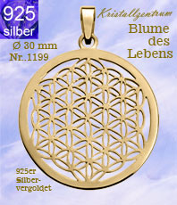 Anhänger    Blume des Lebens flowers of life  Edelstahl Wohnaccessoires versilbert silber gold vergoldet