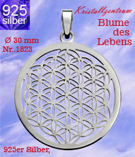 Anhänger    Blume des Lebens flowers of life  Edelstahl Wohnaccessoires versilbert silber gold vergoldet