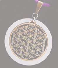     Blume des Lebens beweglich        fixiert im Umrandungsring             
   besetzt  mit original                    
   Swarovski Kristallen                       ©einStein design                                                            