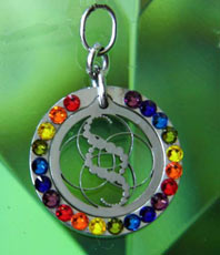   Kornkreise     Reichtum    Schlüsselanhänger    Kornkreissymbol Anhänger Schmuck Crop Circles Jewellery circle  Edelstahl einstein design kristallzentrum energetik energethik esoterik  Schmuck jewellery jewelery jewelry pendant pendentif bijou bijoux 