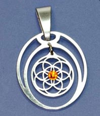     Same des Lebens    ESOTERISCHER SCHMUCK einStein-design Edelstahlschmuck    Anhänger  Schmuck Symbol    Jewellery       kristallzentrum energetik energethik esoterik    jewellery jewelery jewelry pendant pendentif bijou bijoux   Ursilbe der Schöpfung      